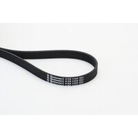 CONTINENTAL CTAM 6PK1120 Keilrippenriemen
