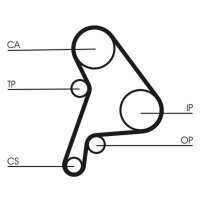CONTINENTAL CTAM CT1012 Zahnriemen