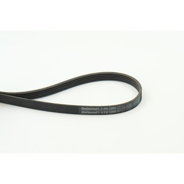 CONTINENTAL CTAM 5PK1200 Keilrippenriemen