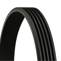 CONTINENTAL CTAM 5PK800 Keilrippenriemen