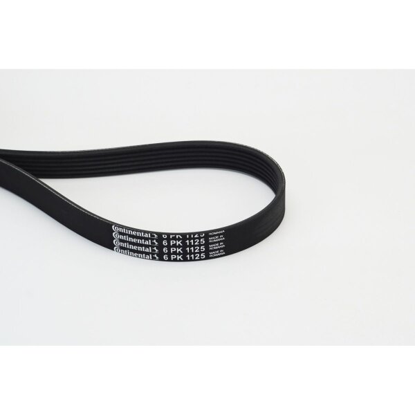 CONTINENTAL CTAM 6PK1125 Keilrippenriemen