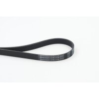 CONTINENTAL CTAM 6PK1130 Keilrippenriemen