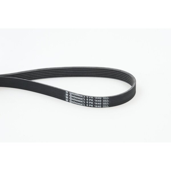 CONTINENTAL CTAM 6PK1440 Keilrippenriemen
