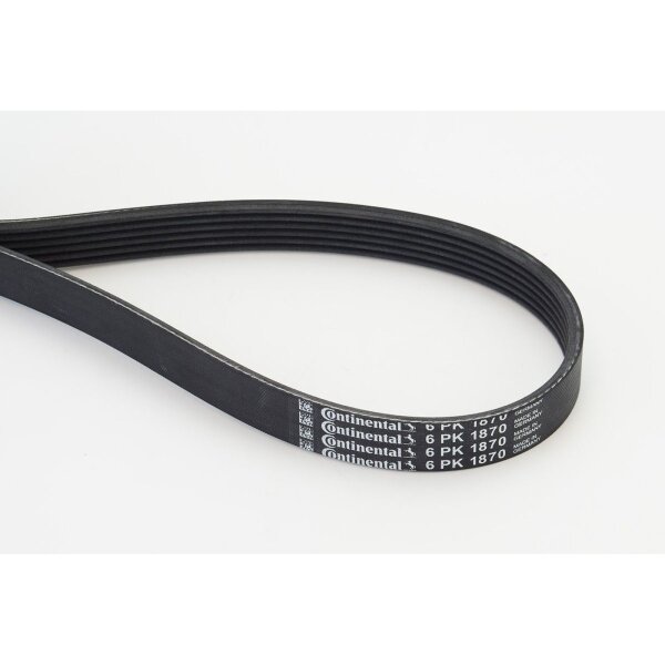 CONTINENTAL CTAM 6PK1870 Keilrippenriemen