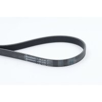 CONTINENTAL CTAM 6PK2155 Keilrippenriemen