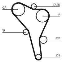 CONTINENTAL CTAM CT867 Zahnriemen