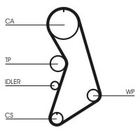 CONTINENTAL CTAM CT909 Zahnriemen