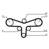 CONTINENTAL CTAM CT920 Zahnriemen