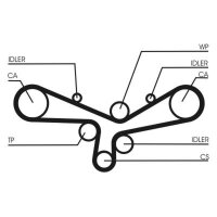 CONTINENTAL CTAM CT920 Zahnriemen
