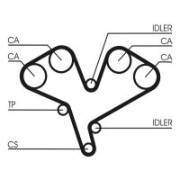 CONTINENTAL CTAM CT884 Zahnriemen