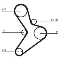 CONTINENTAL CTAM CT1038 Zahnriemen