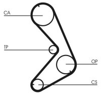 CONTINENTAL CTAM CT749 Zahnriemen