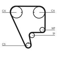 CONTINENTAL CTAM CT794 Zahnriemen