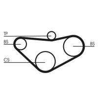 CONTINENTAL CTAM CT800 Zahnriemen
