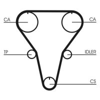 CONTINENTAL CTAM CT769 Zahnriemen