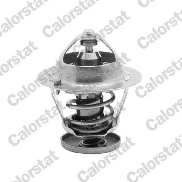 CALORSTAT by Vernet TH6484.82J Thermostat, Kühlmittel
