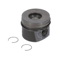 NÜRAL 87-743100-00 Kolben