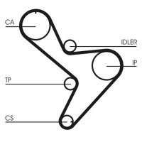 CONTINENTAL CTAM CT1034 Zahnriemen