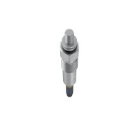 BOSCH 0 250 202 025 Glühkerze