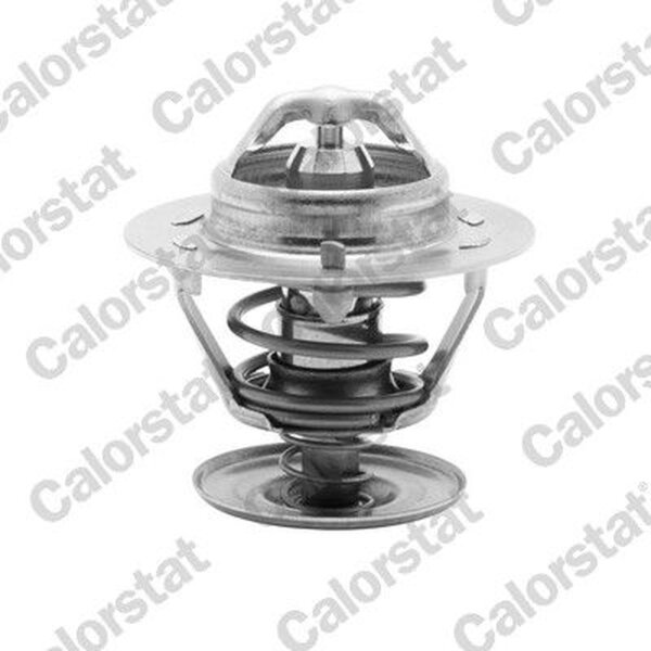 CALORSTAT by Vernet TH5750.88J Thermostat, Kühlmittel