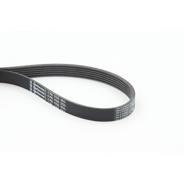 CONTINENTAL CTAM 6PK1750 Keilrippenriemen