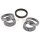 SNR R154.47 Radlagersatz