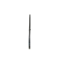 BOSCH 1 987 947 618 Keilriemen