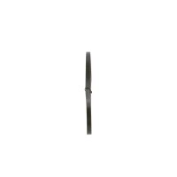 BOSCH 1 987 947 790 Keilriemen