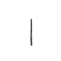 BOSCH 1 987 947 895 Keilriemen