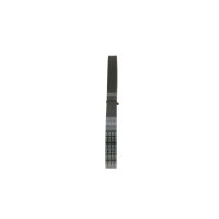 BOSCH 1 987 946 036 Keilrippenriemen