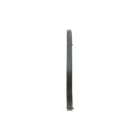 BOSCH 1 987 946 042 Keilrippenriemen