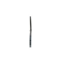 BOSCH 1 987 947 503 Keilriemen