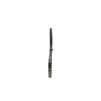 BOSCH 1 987 947 687 Keilriemen