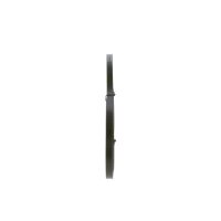 BOSCH 1 987 947 747 Keilriemen