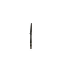 BOSCH 1 987 947 844 Keilrippenriemen