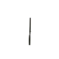 BOSCH 1 987 947 899 Keilrippenriemen