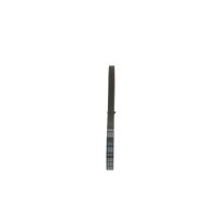 BOSCH 1 987 947 916 Keilrippenriemen