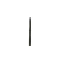 BOSCH 1 987 947 916 Keilrippenriemen