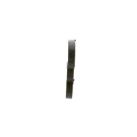 BOSCH 1 987 947 950 Keilrippenriemen