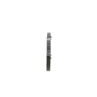 BOSCH 1 987 946 040 Keilrippenriemen