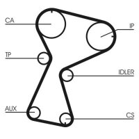 CONTINENTAL CTAM CT1026 Zahnriemen