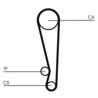 CONTINENTAL CTAM CT1024 Zahnriemen