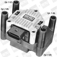BorgWarner (BERU) ZSE003 Zündspule