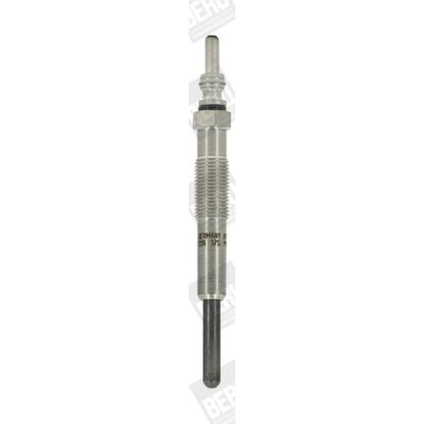 BorgWarner (BERU) GN019 Glühkerze