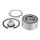 SNR R155.07 Radlagersatz