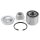 SNR R155.19 Radlagersatz