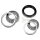 SNR R168.54 Radlagersatz