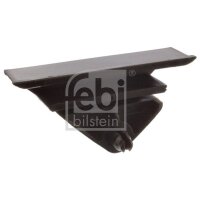 FEBI BILSTEIN 25114 Gleitschiene, Steuerkette