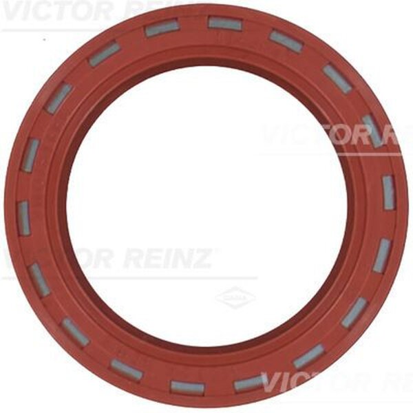 VICTOR REINZ 81-24909-10 Wellendichtring, Nockenwelle