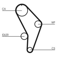 CONTINENTAL CTAM CT926 Zahnriemen